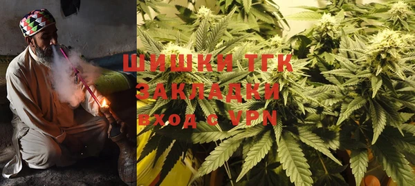 шишки Нягань