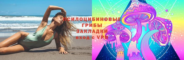 шишки Нягань