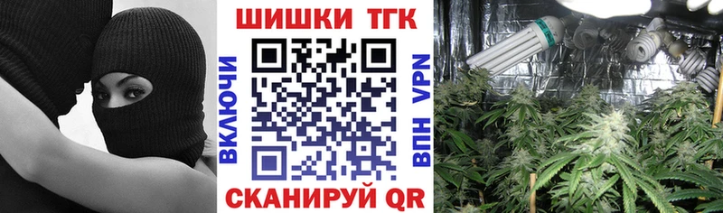 Каннабис ГИДРОПОН  цены   Судогда 